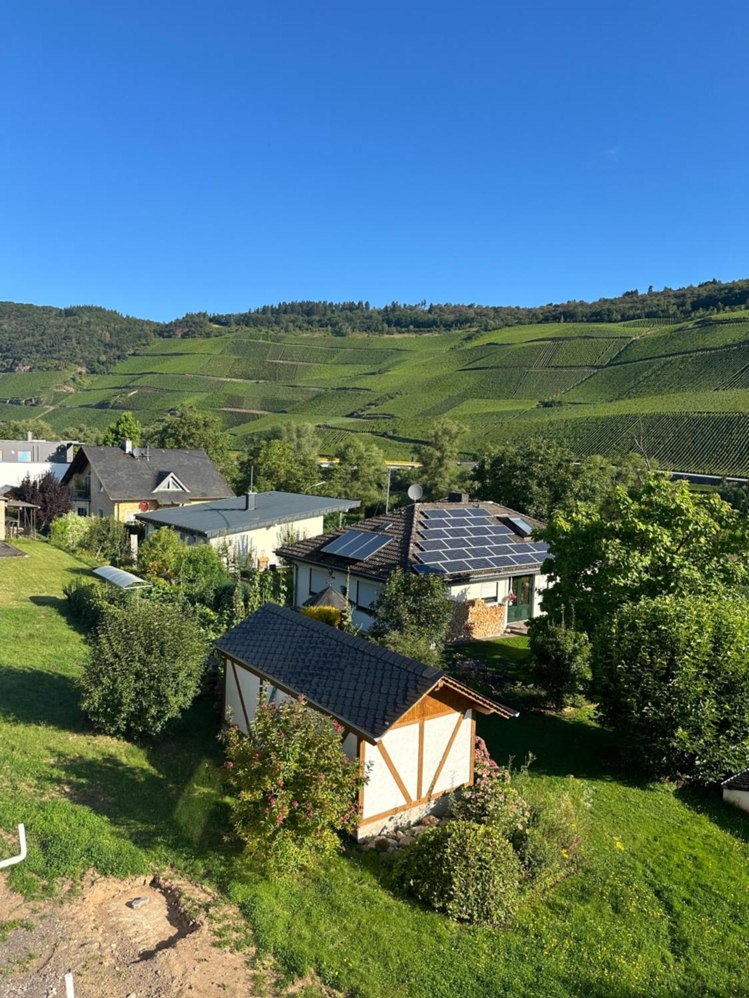 Moselappartements By Weingut Marco Adamy Lösnich エクステリア 写真