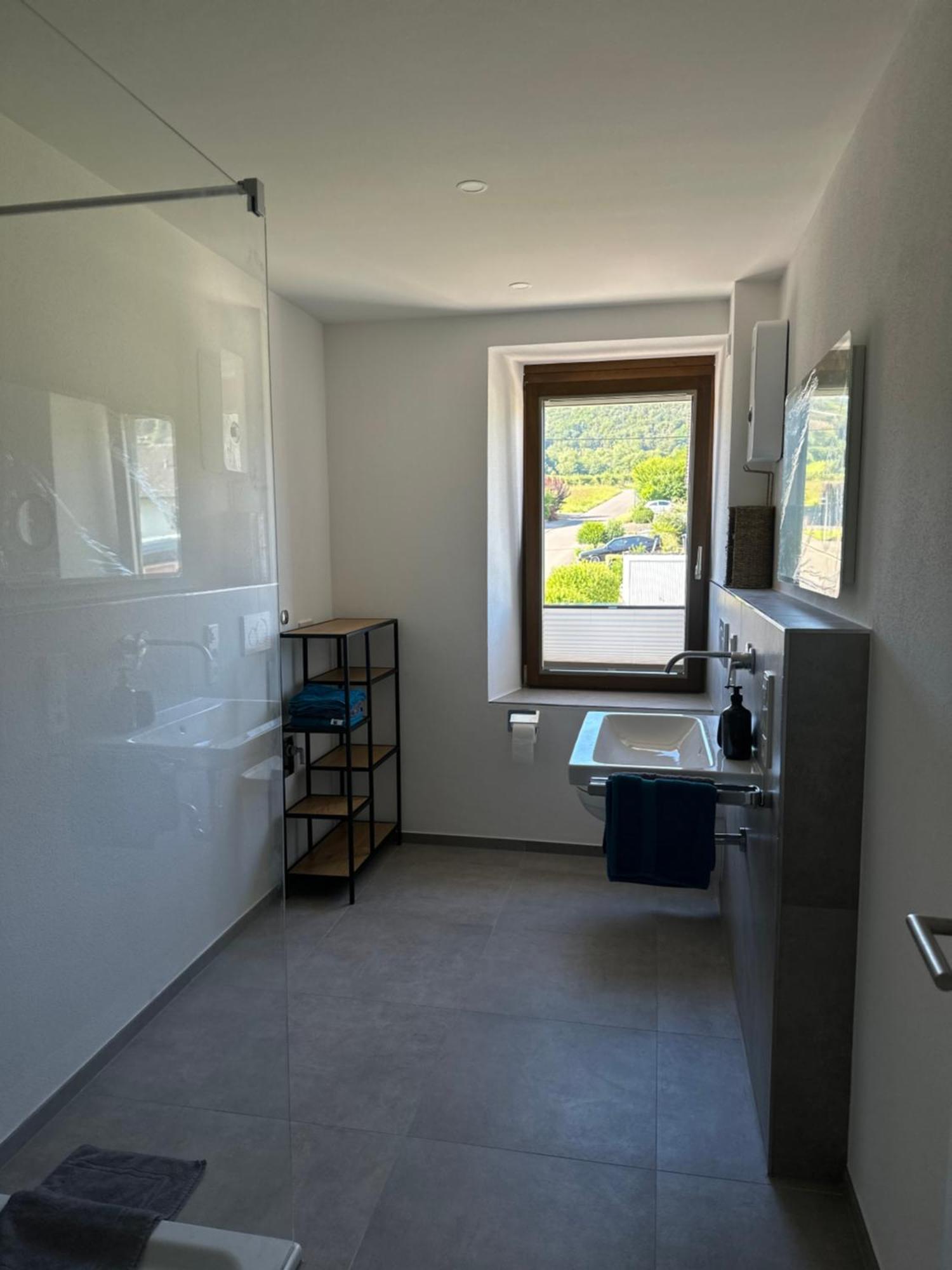 Moselappartements By Weingut Marco Adamy Lösnich エクステリア 写真