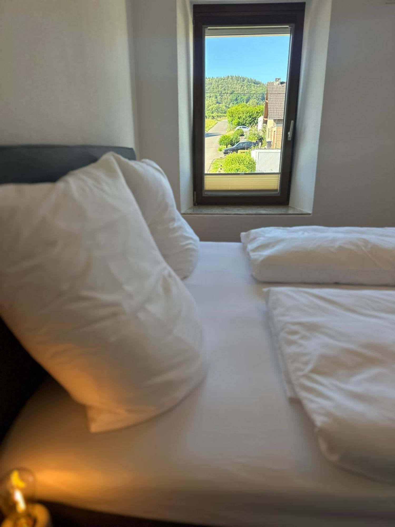 Moselappartements By Weingut Marco Adamy Lösnich エクステリア 写真