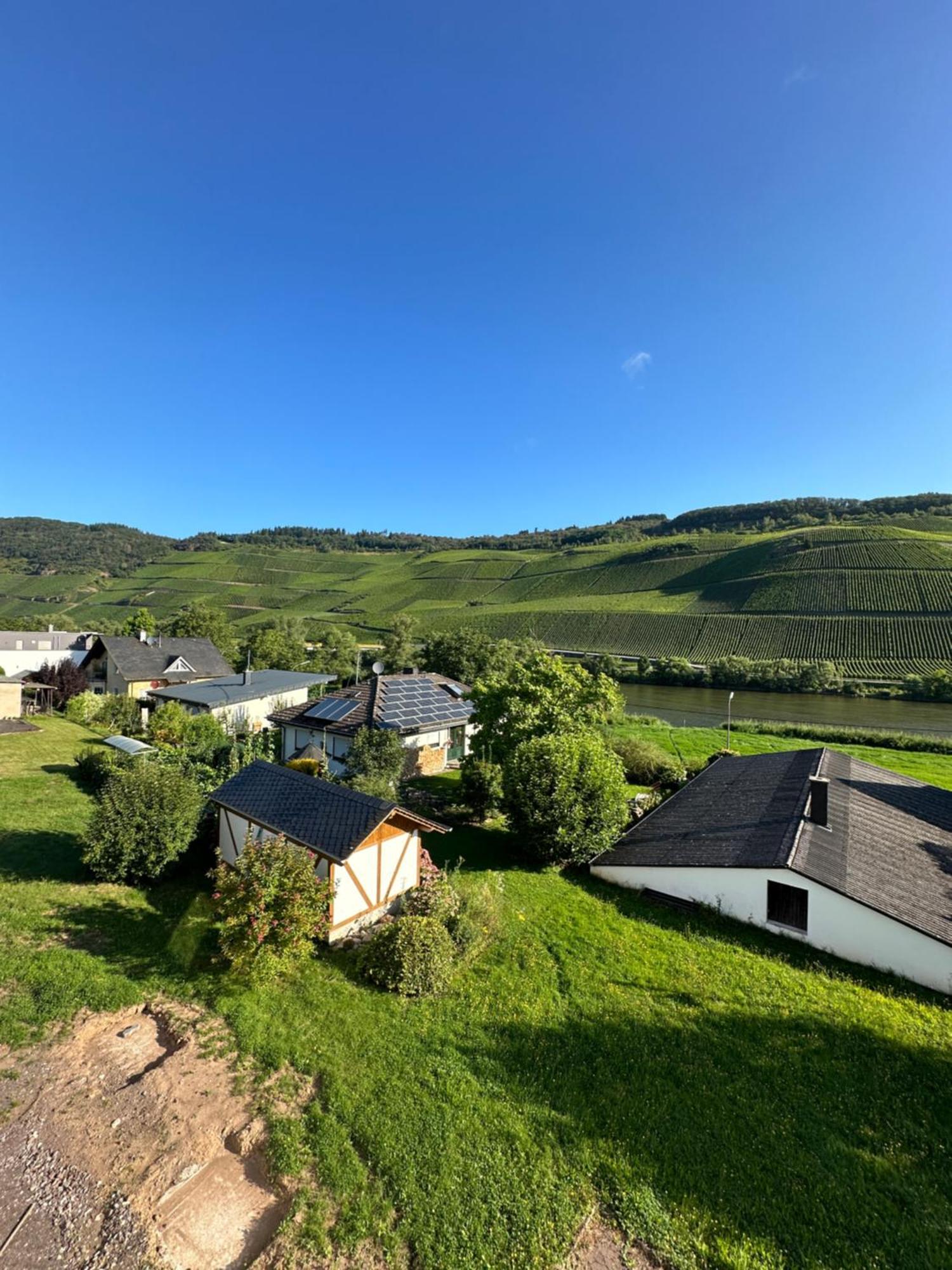 Moselappartements By Weingut Marco Adamy Lösnich エクステリア 写真