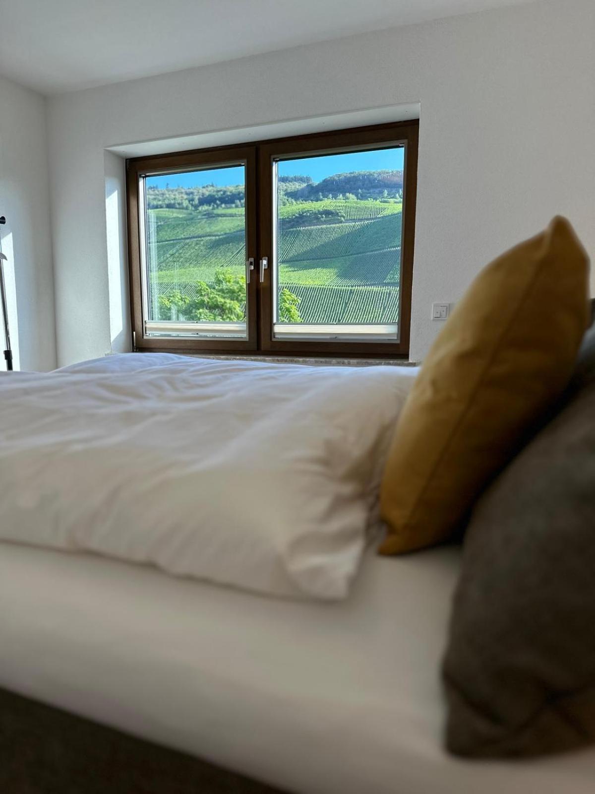 Moselappartements By Weingut Marco Adamy Lösnich エクステリア 写真