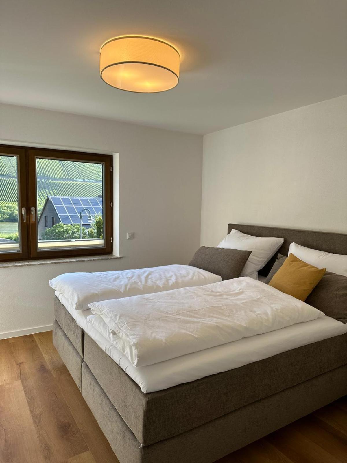Moselappartements By Weingut Marco Adamy Lösnich エクステリア 写真
