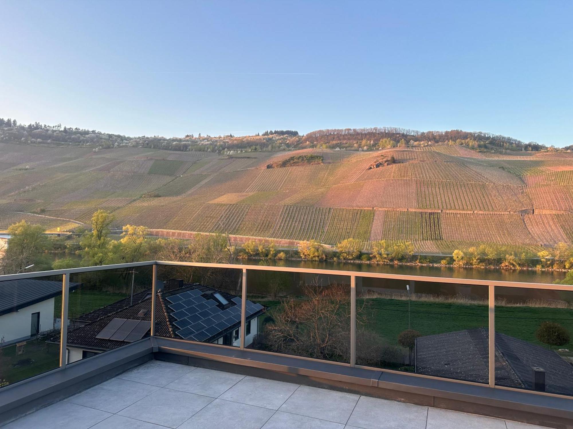 Moselappartements By Weingut Marco Adamy Lösnich エクステリア 写真