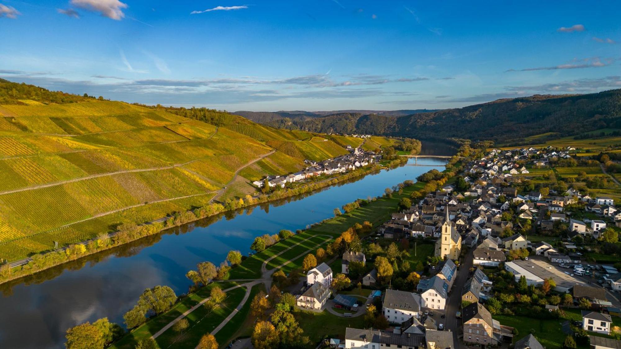 Moselappartements By Weingut Marco Adamy Lösnich エクステリア 写真