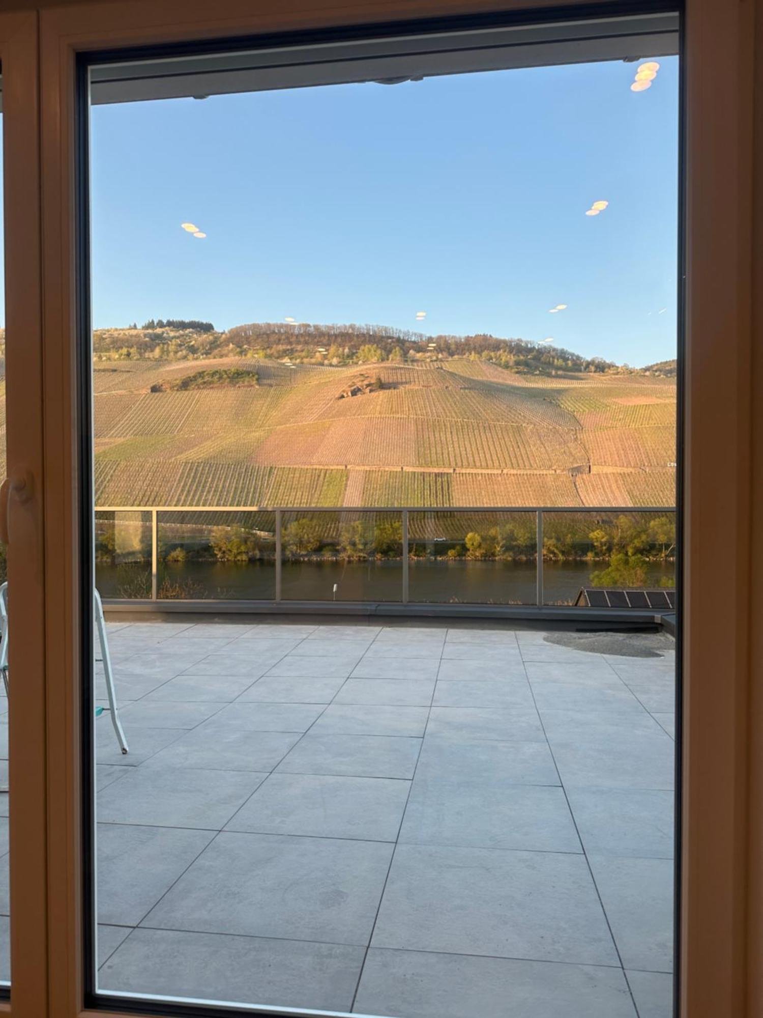 Moselappartements By Weingut Marco Adamy Lösnich エクステリア 写真