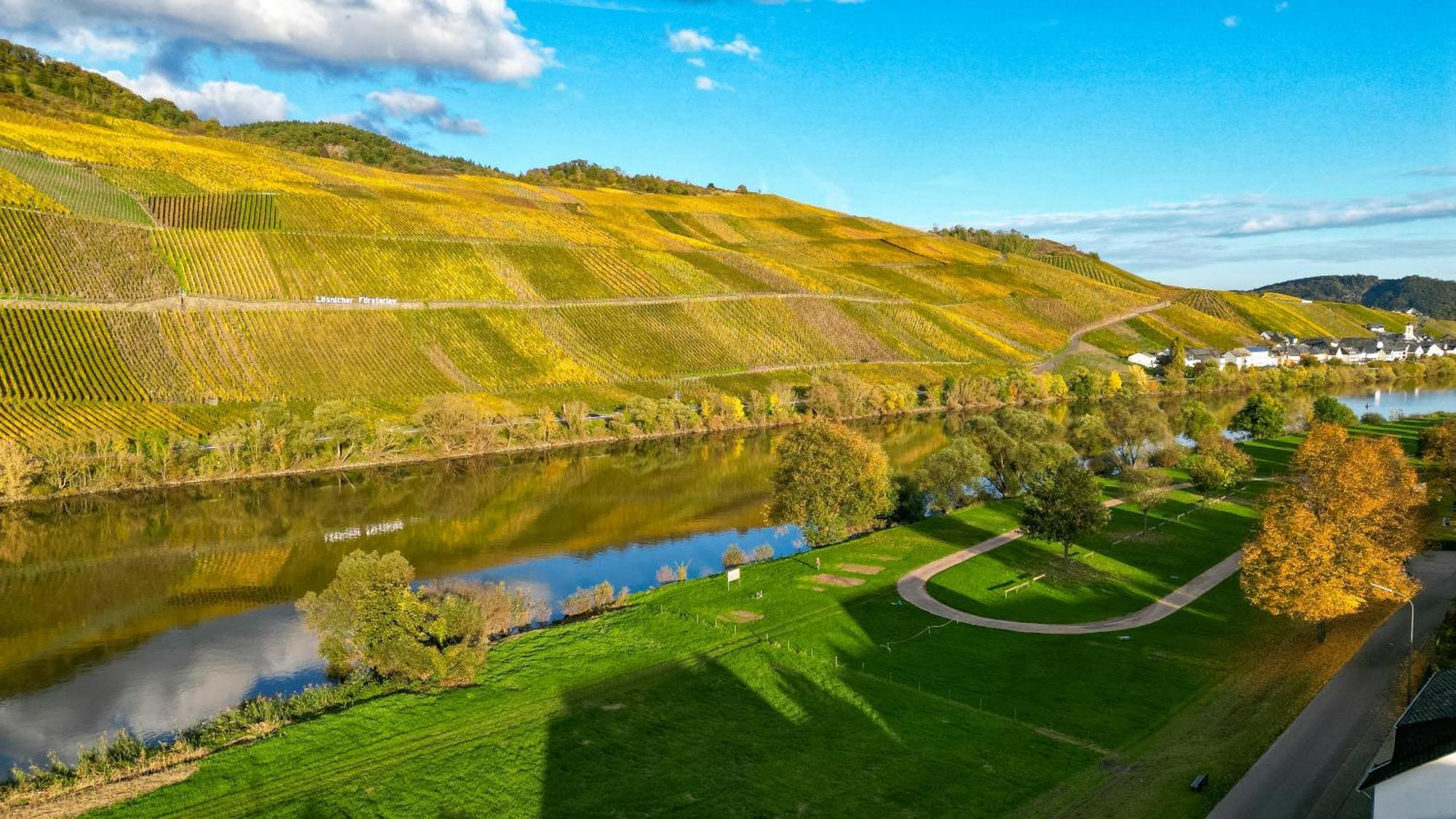 Moselappartements By Weingut Marco Adamy Lösnich エクステリア 写真